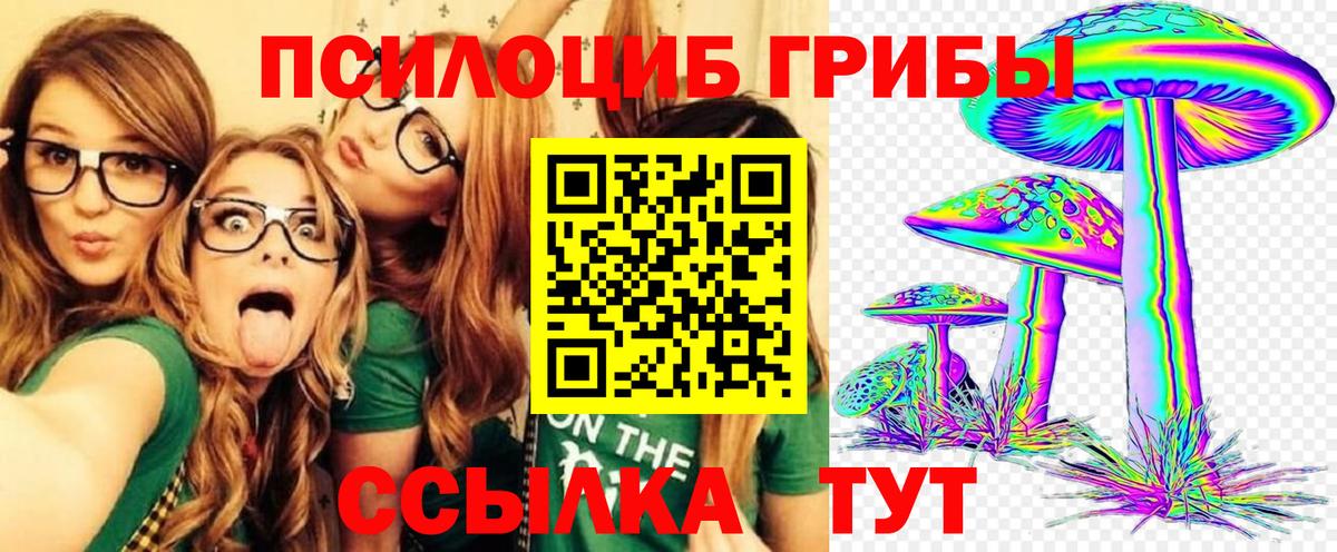 Псилоцибиновые грибы мицелий Тулун
